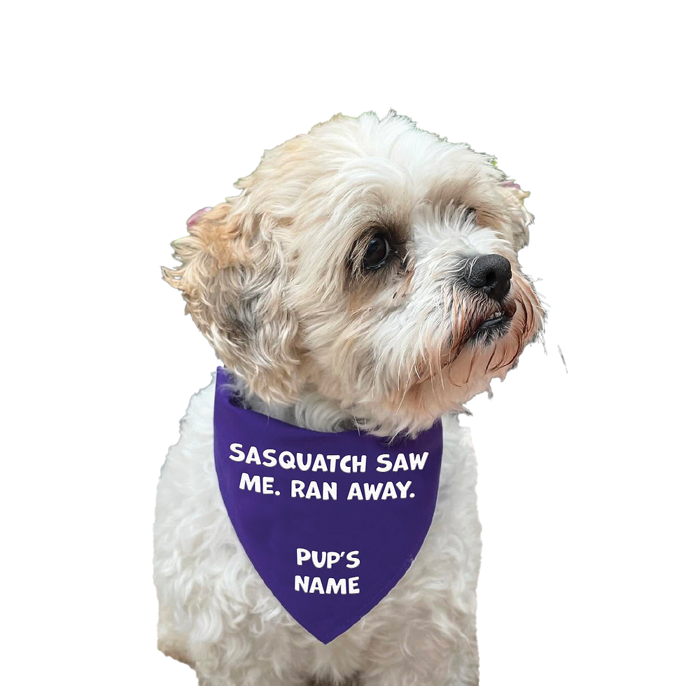 Sasquatch Saw Me. Ran Away.