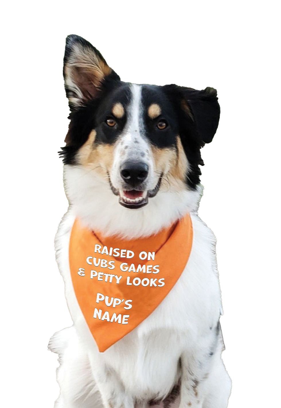 Raised On Cubs Games & Petty Looks