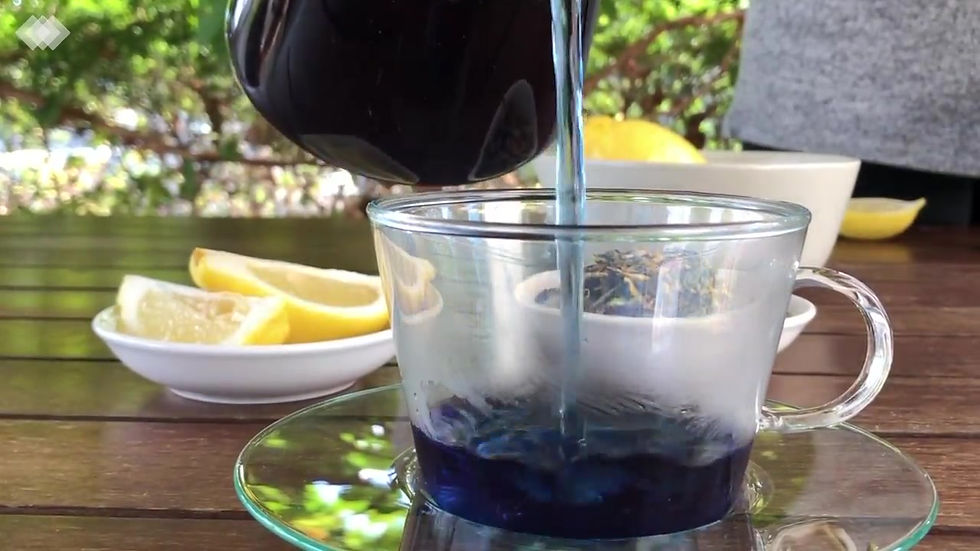 Thumbnail: DRAMA QUEEN