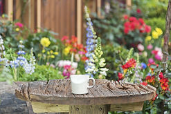 bigstock-Coffee-Cup-And-Table-In-Backya-344806246.jpg