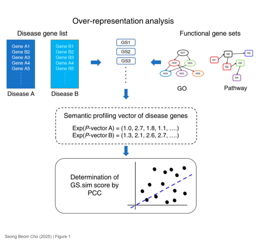Measurement of Disease Comorbidity Using Semantic Profiling of Disease Genes