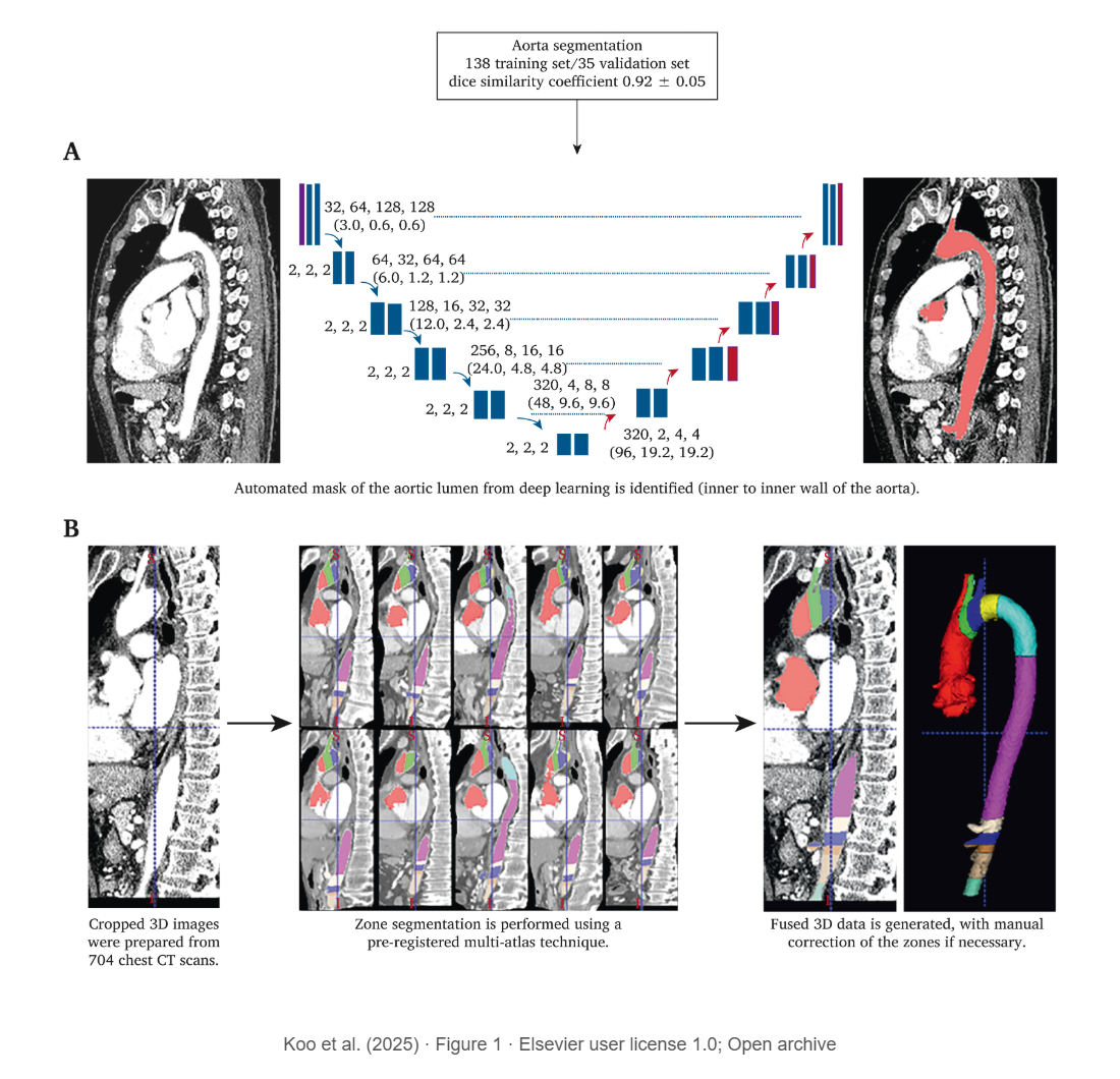 Deep Learning Based Automatic Segmentation of the Thoracic Aorta from Chest Computed Tomography in Healthy Korean Adults