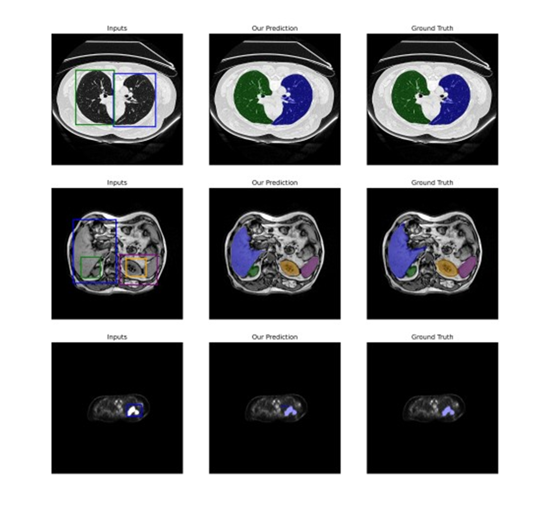 GAMT: A Geometry-Aware, Multi-view, Training-free Segmentation Framework for Foundation Models in Medical Imaging