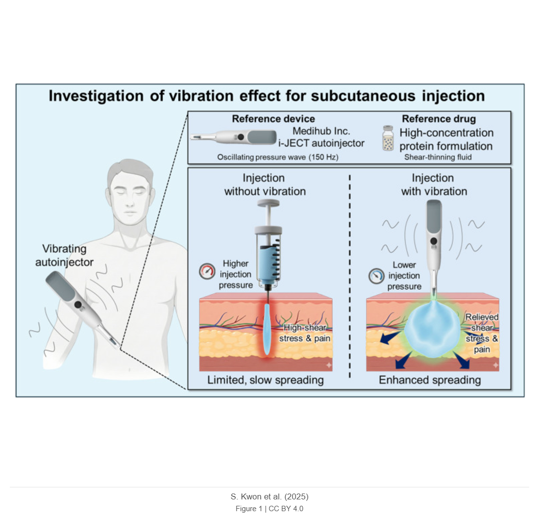 Investigation of Vibration-Induced Transport of Newtonian and Non-Newtonian Fluids in Porous Media Using Lattice Boltzmann Method