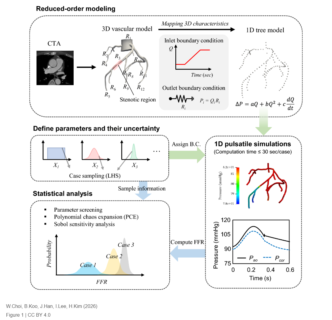 Effects of pulsatile flow on fractional flow reserve assessed using a reduced-order model