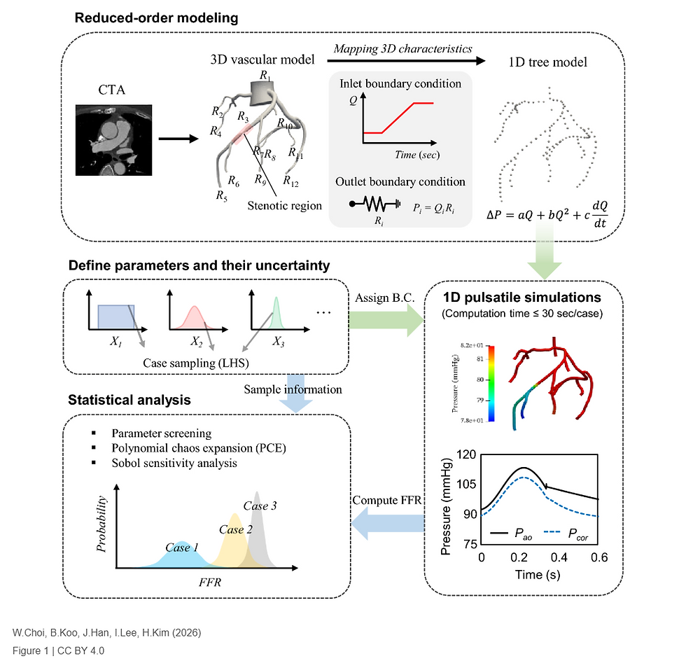 Effects of pulsatile flow on fractional flow reserve assessed using a reduced-order model — 논문 대표 이미지