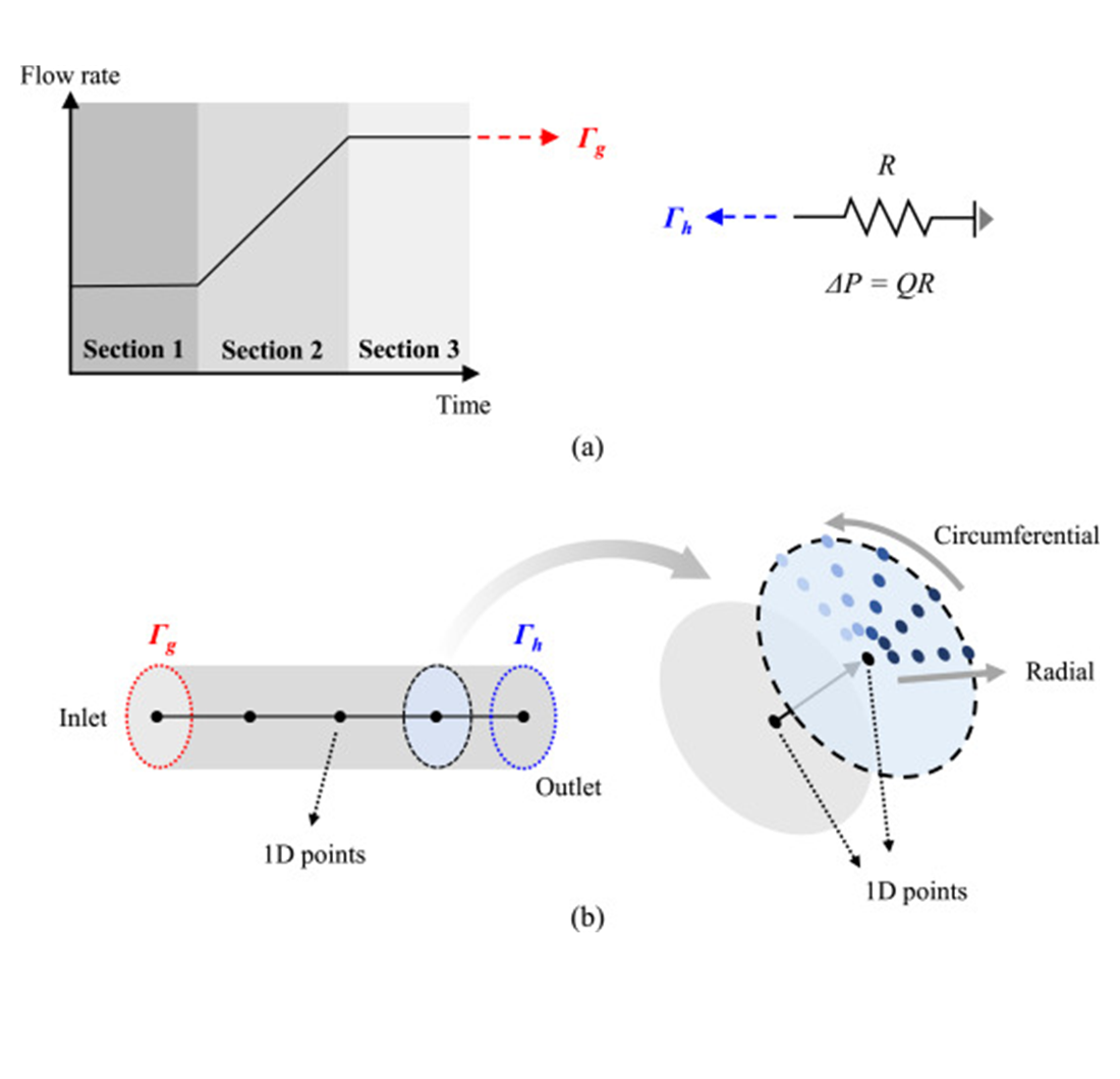 Developing a reduced order model for pulsatile blood flow simulations using minimal three-dimensional simulation data