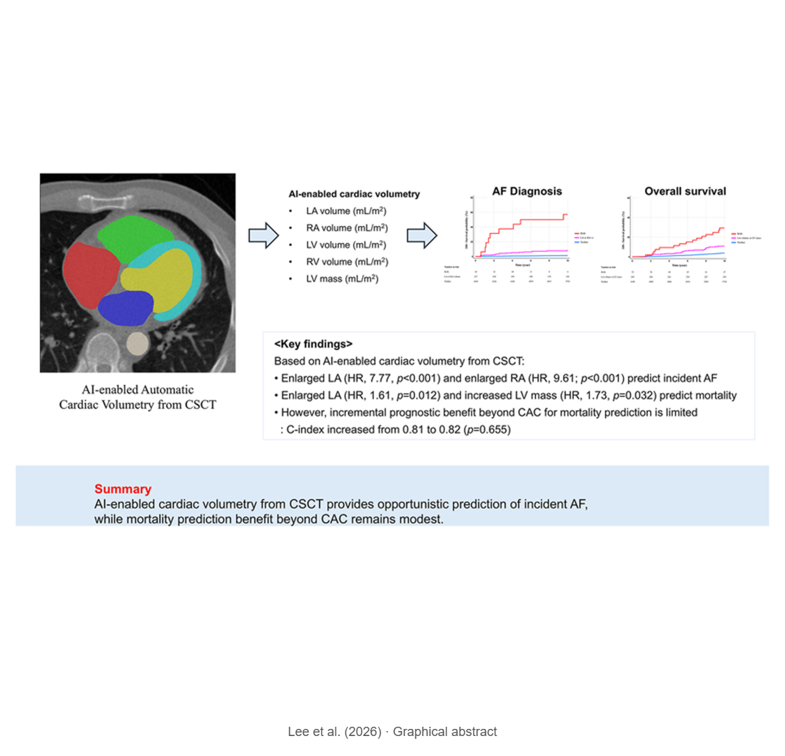 AI-enabled cardiac volumetry on non-contrast calcium scoring CT for predicting atrial fibrillation and mortality