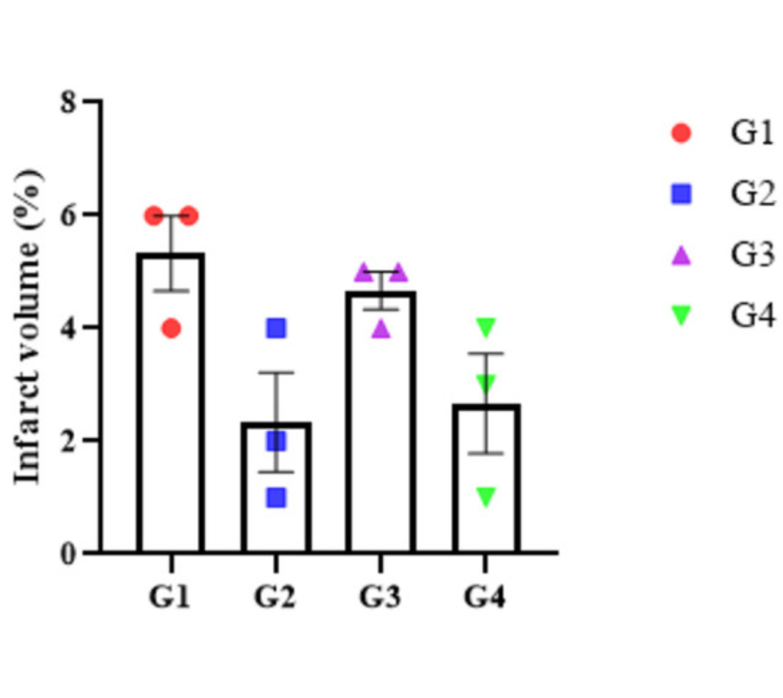 Effect of a Localized Oxygen-Releasing Hydrogel Sheet on Early-Stage Infarct Evolution in a Rat Photothrombotic Stroke Model: A Preliminary Study