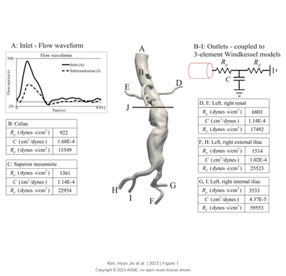 Convergence of Phase-Averaged, Transitional Flow in an Abdominal Aortic Aneurysmal Model