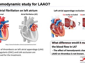 대한심장학회 초청강연 (2023) : 센터장 송시몬, 신승용 교수