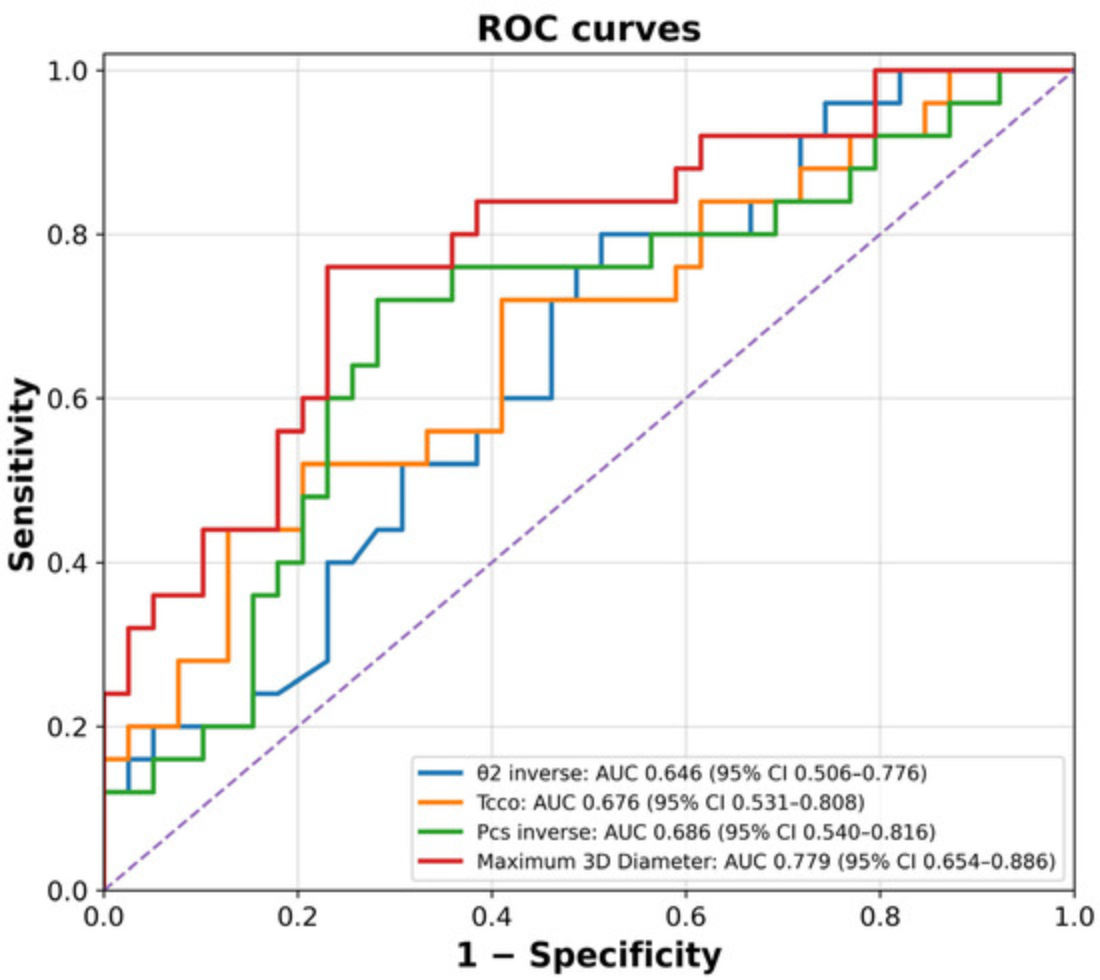 Prediction of Posterior Communicating Artery Aneurysm Rupture Risk: A Multivariate Analysis of Aneurysm and Surrounding Arterial Morphological Factors