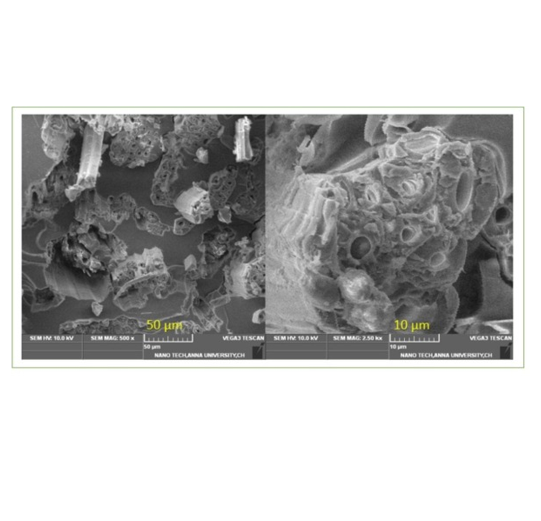 Study of antimicrobial and mechanical behaviors on kapok fiber reinforced bran particulates blended epoxy matrix composite