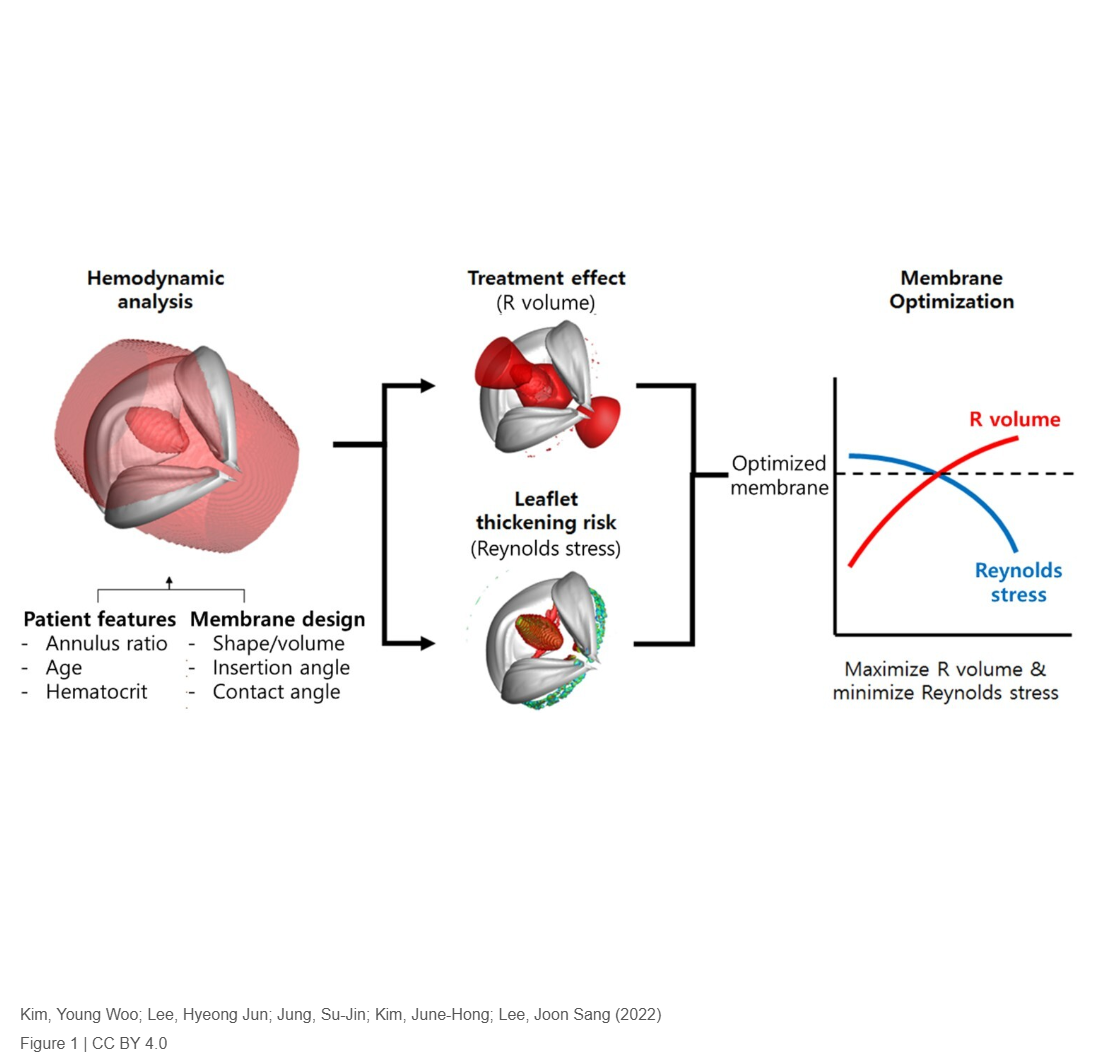 Optimization of tricuspid membrane mechanism for effectiveness and leaflet longevity through hemodynamic analysis