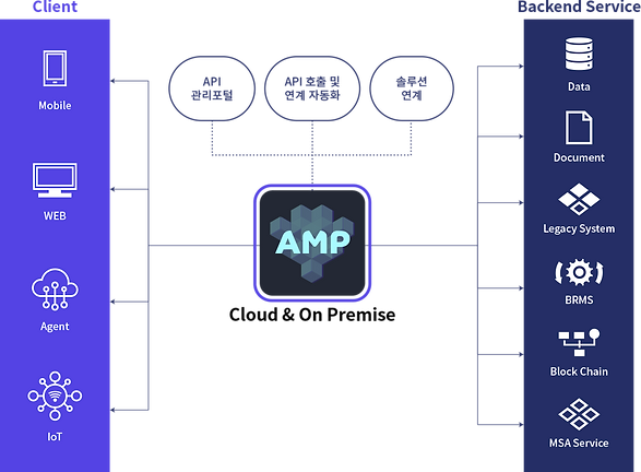 amp5.png