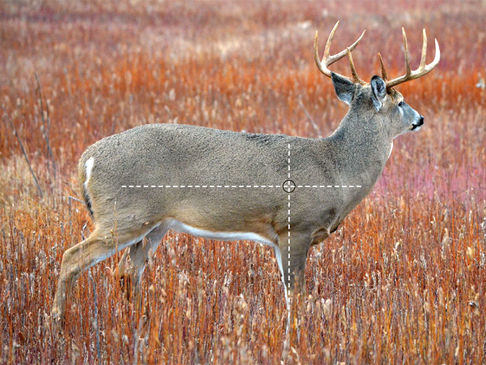 Shadows of the Antler