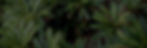 IMG_20190419_114919 - Copy_edited.jpg