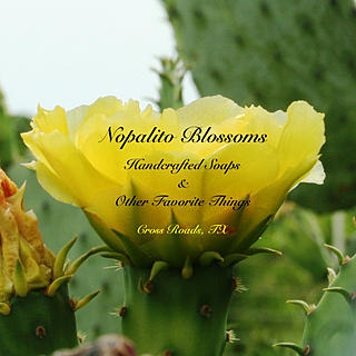 Writer: Yvonne Wernecke