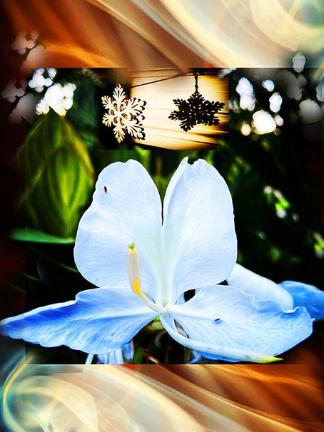 New Moon in Scorpio
