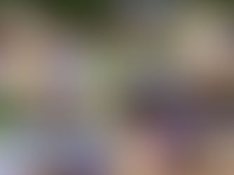 Torgdag Mastrevik Torg den 24 august 09.30 til 15.00