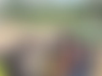 Roots for Resilience