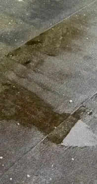 Diagnostic d’un toit plat avec eau stagnante et infiltrations à Courtabœuf Villebon-sur-Yvette