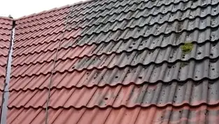 Nettoyage, demoussage d'une toiture en tuiles dans l'Essonne (91)
