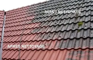 Entretien d'un toit avant et après le nettoyage et démoussage de la toiture en tuiles