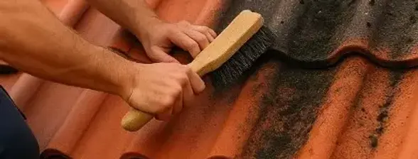 Brossage des tuiles avant intervention du couvreur pour nettoyage et démoussage du toit