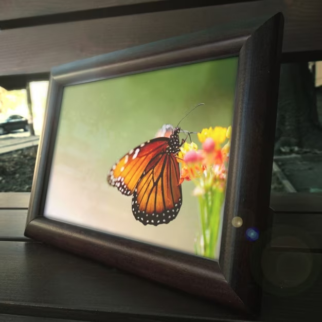 Elevating Home Decor with Photo Frame Printing Services in Malaysia