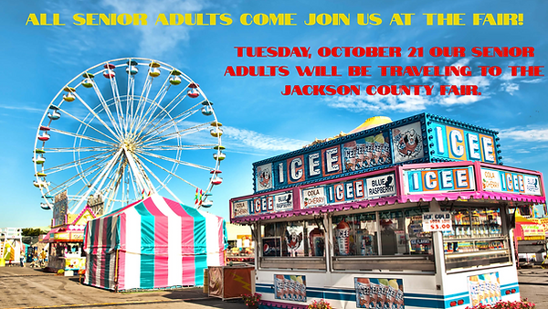 Senior Adult Website Graphic.png