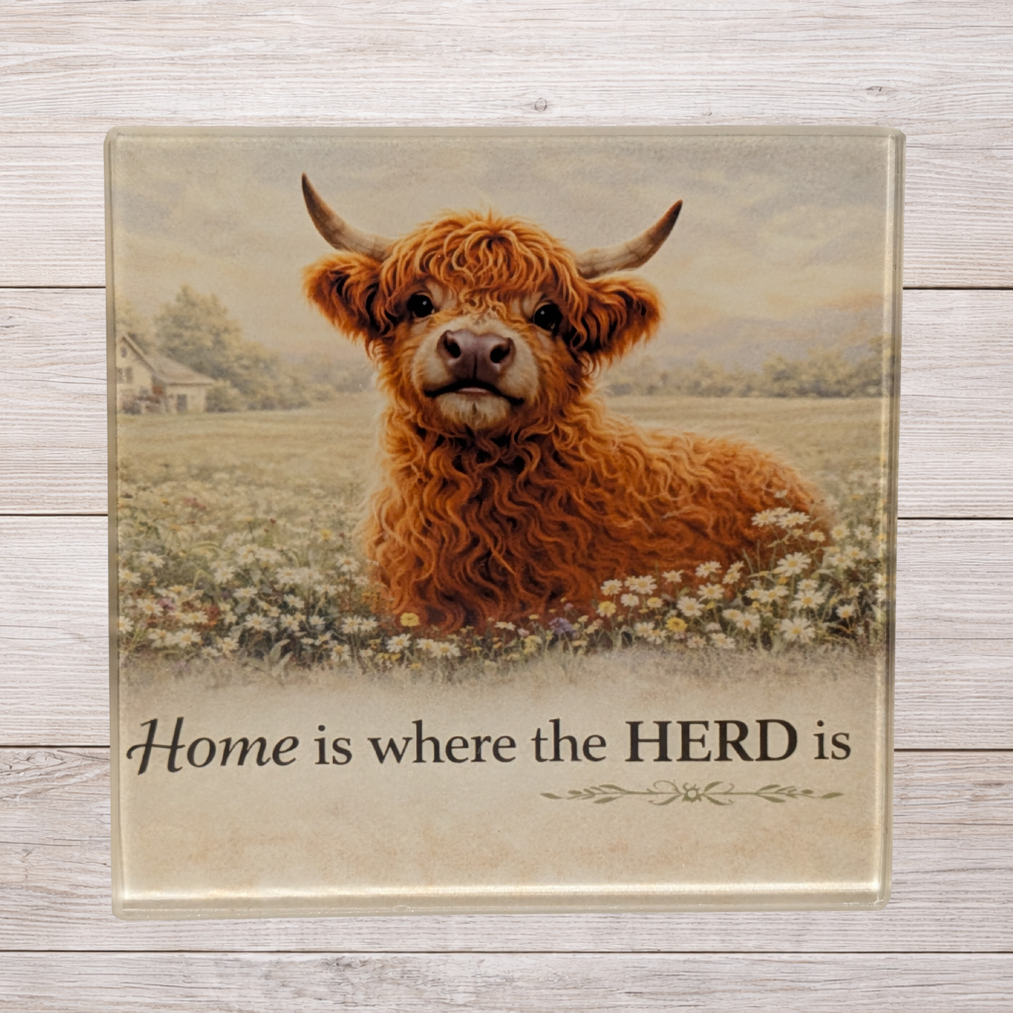 Highland cow glass coaster with "Home is where the herd is" quote, square glass handmade coaster