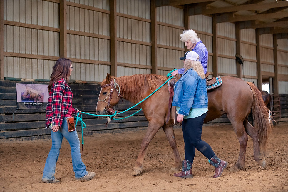 horse riding lessons, riding horses, double h horse farm, healing with horses