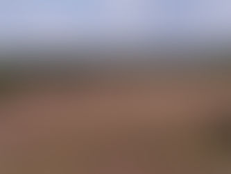 Wanderungen des TuS Hermannsburg