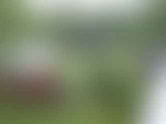 Internationaler Museumstag am Sonntag, den 19. Mai 2024 in Faßberg