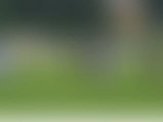 Die männliche U12-Meister B–Mannschaft zu Gast beim TSV Helmstedt