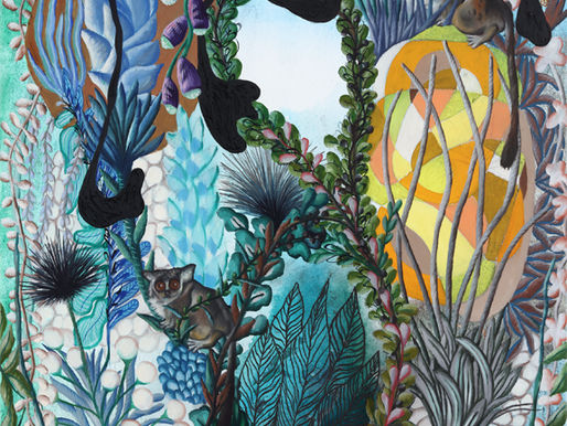 Museum am Mittag: Wo der Iltis fliegt….