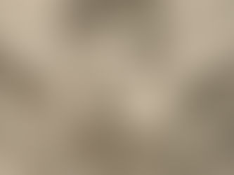 „Verborgene Schönheiten“ entdecken am Tag des offenen Denkmals