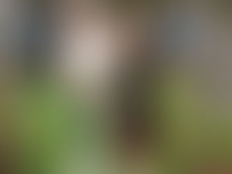 Ein Stück Schottland in der OASE Faßberg: Ceilidh Tanzabend mit Live-Musikund schottischen Leckereien