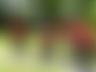 Kleine Gruppe, großer Spaßfaktor