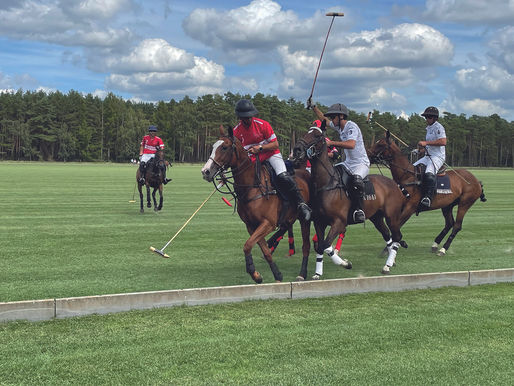 Museums-Melange zeigt Vielfalt des Sports