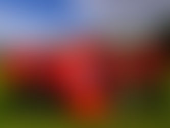 Start der Meisterschaftssaison im Freien