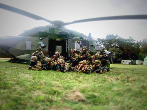 Land- und Luftstreitkräfte zeigen sich beim Tag der Bundeswehr