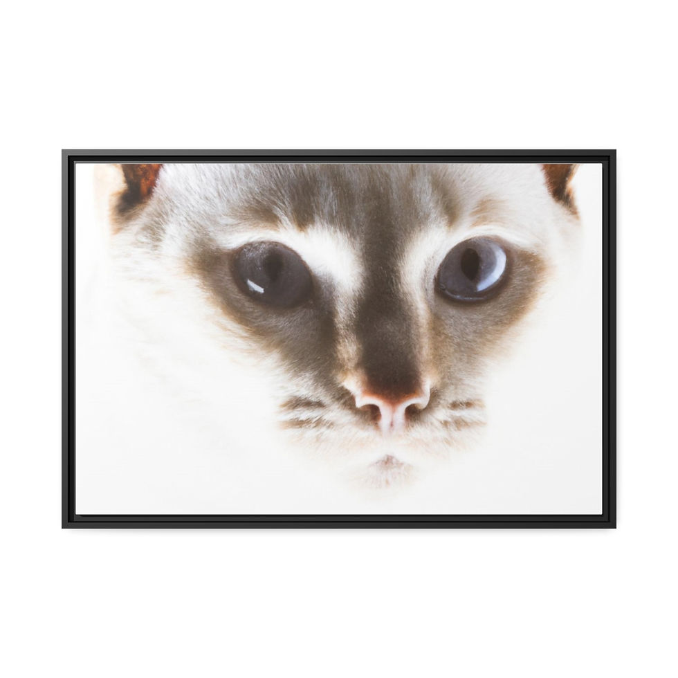 Miniature : Gallery Modern Canvas Art Canvas Print Black Frame | Roseson®