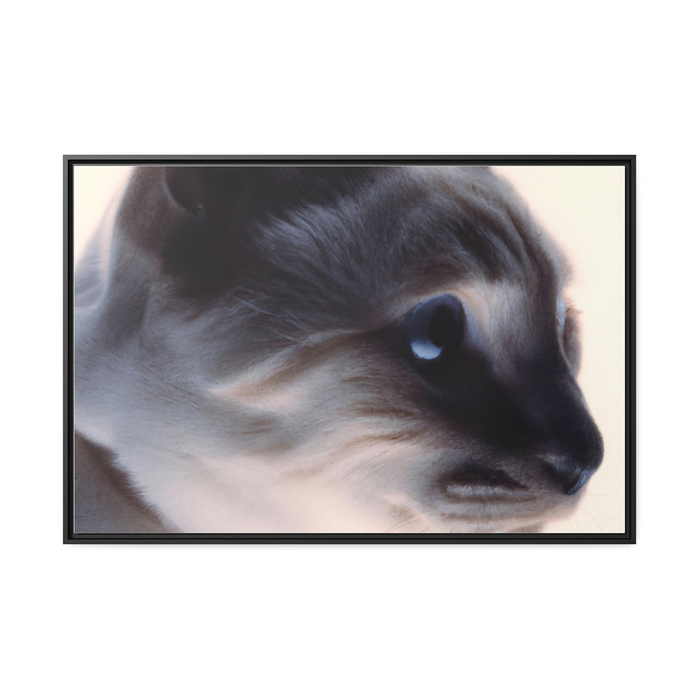 थंबनेल: Abstract Wall Art Canvas Print Black Frame | Roseson®