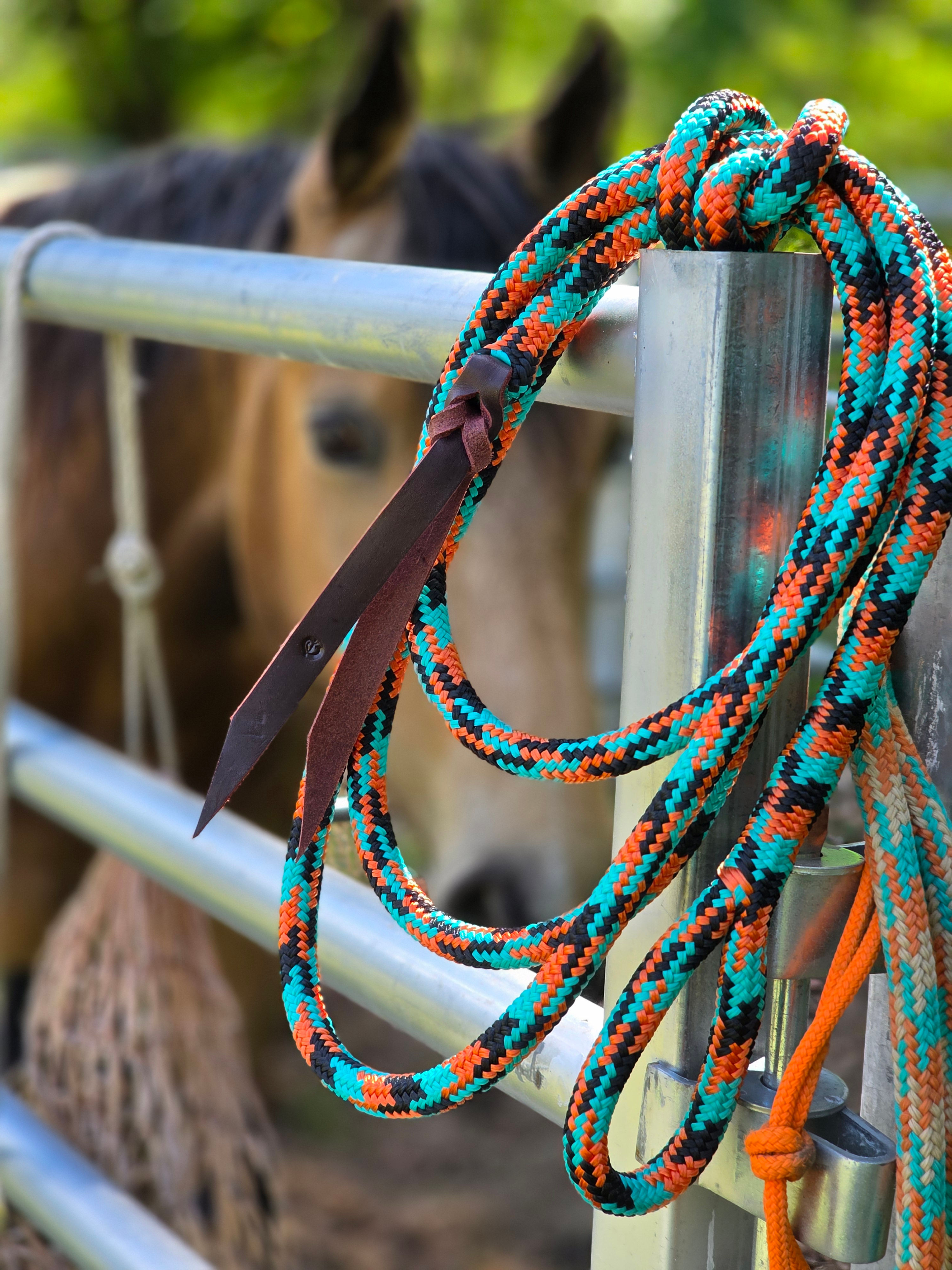 NEW COLOR 4-Knot Standard Halter and 10' Lead Rope (Sold As Set)