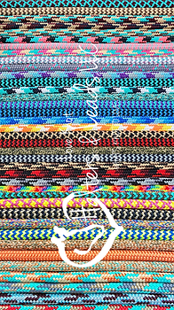 Untitled design_20250127_233753_0000.png