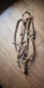 Thumbnail: 10' Lead Rope
