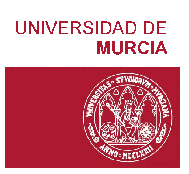 Clases particulares Murcia