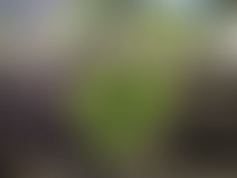 Yoga: ahora más que nunca